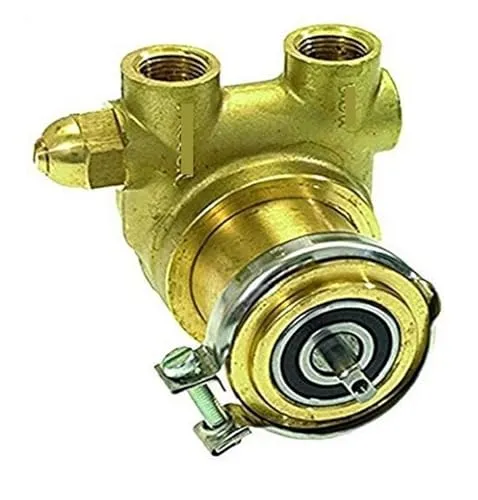 Bolisila Rotary Vane Pump 3/8' NPT 200L/h - Efficient Clean Liquid Transfer Solution