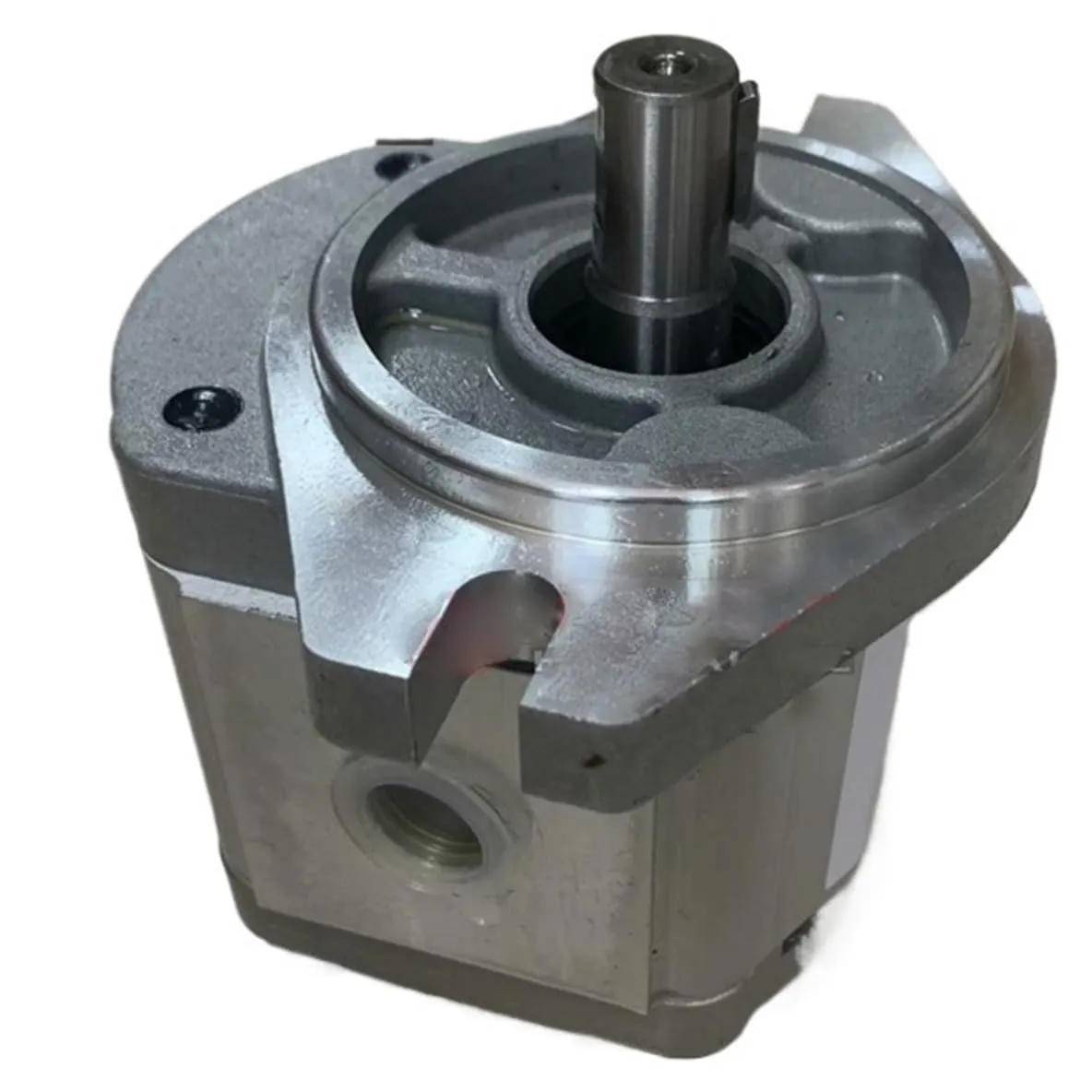 Gear Pump BAP2A0D10C0R1, Electric Gear Pump in Cast Aluminum, Multiple Models Available