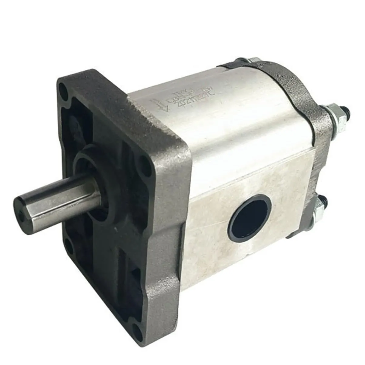 Gear Pump Hydraulic Oil Pump CBN-F314, Electric Drive, Low Noise, Cast Iron Construction