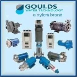 Goulds LB1012 Centrifugal Pump 1HP Booster, 115-230V, High Performance, Reliable Water Transfer