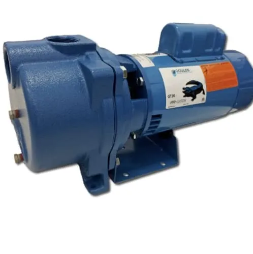 Goulds Pumps GT20 IRRI-Gator 2HP Self-Priming Centrifugal Pump - Efficient Irrigation Solution