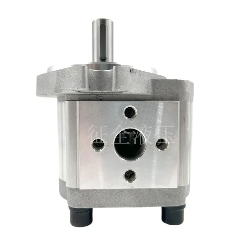 High-Pressure Hydraulic Pump for Small Excavators CBW-F304-AFP, F303-ALP, F306-AFP, F316