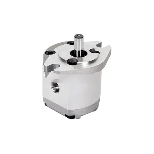 Reversing Gear Pump