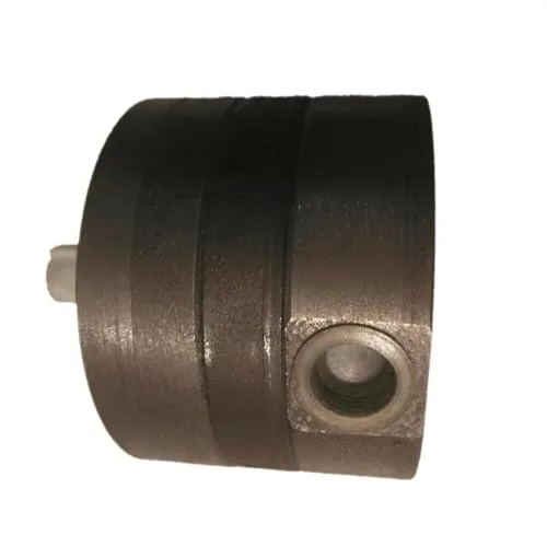 Hydraulic Gear Pump SNBY5/1.6 Low Pressure 160bar Two-way Lube Pump by XKLDSFB