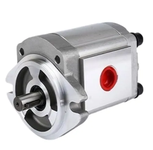 KIRANDY HGP-1A-F6R Hydraulic High Pressure Gear Oil Pump Head, Stainless Steel, Electric Drive