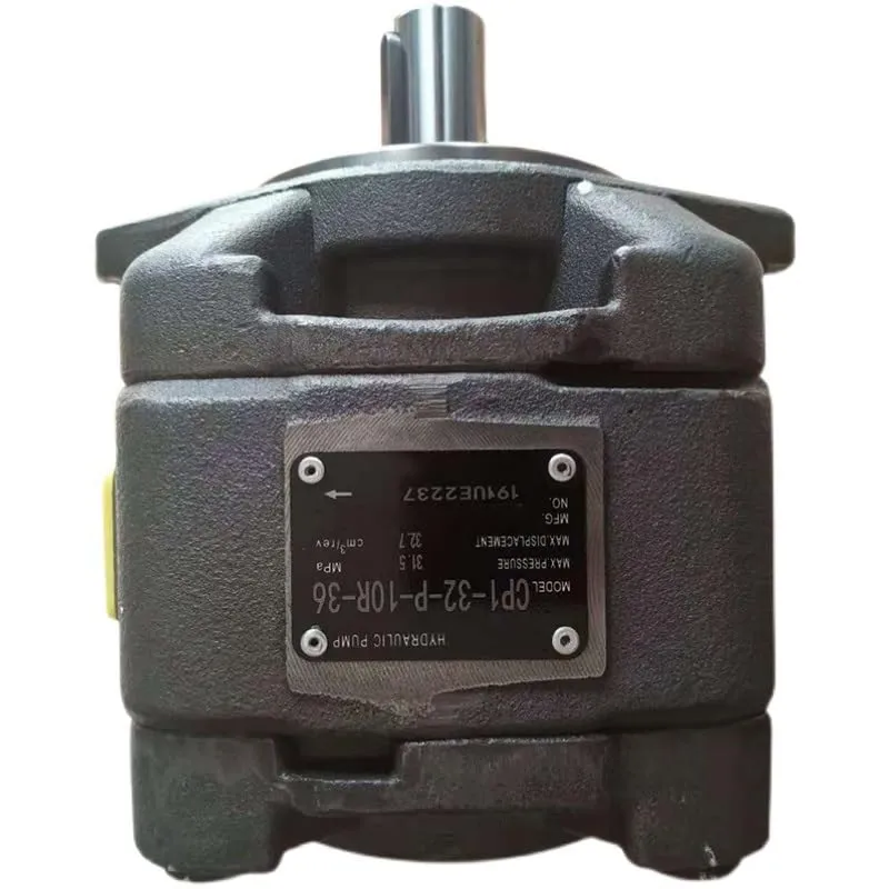 KIRANDY Internal Gear Pump CP0-20-P-10R, High Pressure Electric Pump, Durable Cast Iron Construction