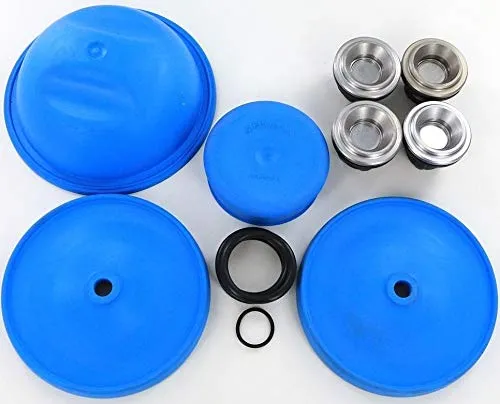 Rittenhouse Hypro D50 BlueFlex Diaphragm & Valve Pump Repair Kit Complete - Durable & Reliable